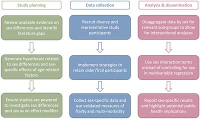 Roadmap for Sex-Responsive Influenza and COVID-19 Vaccine Research in Older Adults